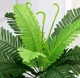 Декоративна штучна квітка - папороть Planta Fern рослина для декору дому / саду / офісу, 18 листків, 46 см, зелена (98039818) - зображення 3