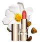 Помада для губ Clarins Joli Rouge 711 papaya 3.5g - зображення 4