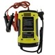Интеллектуальное зарядное устройство для Foxsur FBC1205D 12V5A - изображение 2