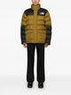 Куртка The North Face Limbara Brown/Black NF0A89EG1OB XS - изображение 4