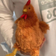 Мягкая игрушка курица Jeycat Hen мультяшная кукла-петух, 23 см, Velice - изображение 1