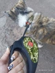 Поводок-рулетка для собак WAUDOG R-leash, рисунок "Милитари", светоотражающая лента, размер S, до 15 кг, 5 м (381-4026) - изображение 10