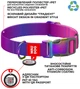Ошейник для собак WAUDOG Nylon Recycled с QR паспортом, градиент, фиолетовый, размер S, 25-35 см, 15 мм (46629) - изображение 4