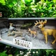 Ігровий набір Zhongjlieming Toys Дикі тварини з дикораціями 6 єлементів - зображення 2