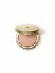 Хайлайтер Kiko Milano Holiday Wonderlights Merryglow Highlighter 02 Cheerful Champagne - изображение 2