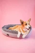 Овальный Лежак Harley and Cho Donut Soft Touch Gray L 100х70х21 cm Серый для собак (3102862) - изображение 6