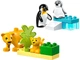 Конструктор Lego Duplo Семейства диких животных: Пингвины и Львы (10442) - изображение 2