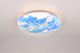 Потолочный светильник REALITY TERRA LED 15W 1500lm 3000K (R67471100) - изображение 2