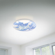 Потолочный светильник REALITY TERRA LED 15W 1500lm 3000K (R67471100) - изображение 6