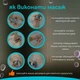 Роликовый 4D массажер FD&Q микротоковый для тела ручной массажер антицеллюлитный для спины ног шеи плеч серый (AL-118) - изображение 6