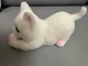 Таба Сквіш Котик білий Cat Squeeze Toy 14 см - антистрес ароматизований - зображення 2