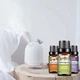 Эфирные масла набор PHATOIL натуральные премиум 6 шт для увлажнителя бани на подарок - изображение 3