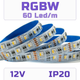 Светодиодная RGBW SMD5050 лента 60 светодиодов на метр, 12 вольт, 12V, 60 LED/м, IP20 - изображение 1