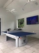Теннисный стол Cornilleau Pro 510 outdoor (для улицы) Cиний - изображение 7