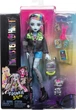 Лялька Монстер Хай Френкі Штейн із вихованцем Monster High Frankie Stein with Pet Dog Watzie Mattel (HXH73) - зображення 1