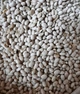 Семена фасоли Нэви Бинс (Navy Beans) 1 кг - изображение 2
