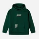 Підлітковий спортивний костюм (худі + штани) для хлопчика Minoti 23fleece123 42578TEN 158-164 см Зелений (5063025439076) - зображення 3
