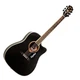Акустична гітара Equites EQ905C Black 41 - зображення 1