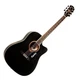 Акустическая гитара Equites EQ901C Black 41 - изображение 1