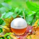 Жіноча парфумована вода Avon Incandessence 50 мл - зображення 1
