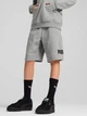 Детские шорты на резинке для мальчика Puma Ess No. 1 Logo Tr 68491803 128 см Medium Gray Heather (4067983625947) - изображение 1