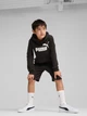 Подростковые шорты на резинке для мальчика Puma Ess No. 1 Logo Tr 68491801 140 см Black (4067983668258) - изображение 3