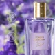 Парфуми жіночі ORIFLAME - Women's Collection Charming Violet 100мл Туалетна вода шлейфові Віменс Колекшн Чармін Вайліт Оріфлейм - зображення 6