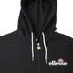 Мужская Толстовка Ellesse Briero FZ Hoody Черный XL (7dSHS08782-011 XL) - изображение 3