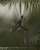 Жилетка мужская Jordan Air Flight Down Vest S Темно-зелений FV7273-222 - изображение 4