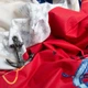 Ткань бязь ранфорс для постельного белья, хлопок, 130 гр/м2, 240 см 18356 v-2 море 4948432 - изображение 6