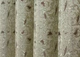 Комплект (2шт. 1,4х2,7м.) жаккардовых штор. Цвет бежевый. Код 1585ш 33-0456 5006526 - изображение 8