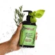 Кондиціонер для волосся з розмарином і м'ятою Mielle Rosemary Mint Strengthening Conditioner, 355 мл - изображение 3