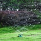 Распылитель воды для полива газонов LAWN SPRINKLER автоматический, на 360 градусов (LAW-1123) - изображение 4
