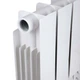 Радіатор біметалічний Thermo Alliance Bi-Ferrum 300/100 1,15 кг - зображення 7