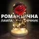 Настільний нічник «Троянда в Колбі» коханій дівчині (лампа-світильник) Романтичний подарунок - зображення 1