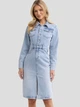 Плаття-сорочка джинсове міді осіннє жіноче Big Star Laylana 162 XL Блакитне (5900714830861) - зображення 1