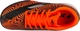 Сороконожки (шиповки) детские Joma EVOLUTION черно-оранжевые 38 EVJS2501TF - изображение 4