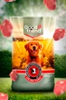 Корм для собак сухой со вкусом говядины 20кг Good Friend Beef MIX - изображение 2