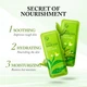 Ночная маска для лица с экстрактом зеленого чая Laikou Matcha Sleeping Face Mask 3г - изображение 7