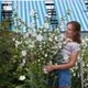 Гибискус сирийский 'White Chiffon'®. Контейнер 2л. Отправка в марте – апреле - изображение 4
