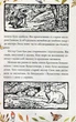 Книга Казка про містера Лиса. Казка про місіс Кольколь. Автор - Беатрікс Поттер (Folio) - изображение 6