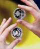 Монета «Управление государственной охраны Украины» 2024 - изображение 2