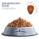 Сухий корм для дорослих котів Club 4 Paws Premium 14 кг лосось (B4630501) - изображение 3