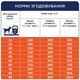 Сухий корм для собак усіх порід Club 4 Paws Premium 14 кг ягня та рис (B4530801) - зображення 3