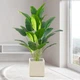 Декоративна штучна квітка - стреліція Planta Strelitzia тропічна рослина для декору дому / саду / офісу, 18 листків, 80 см, зелена "P" (98023103) - зображення 5