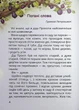 Нечиста сила та інші капосні історії/Іван Андрусяк/9786178177270 - изображение 2
