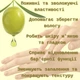 Крем для рук ECODERMA зволожуючий та відновлюючий з оливковою олією та фітостеролами 75 мл Natural Care - зображення 3