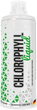 MST Жидкий Хлорофилл MST Liquid Chlorophyll - 1000 мл Мята (4260641161614) - изображение 1