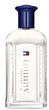 Woda toaletowa męska Tommy Hilfiger Tommy Forever 100 ml (7640496671976) - obraz 1