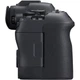 Беззеркальный фотоаппарат Canon EOS R6 Mark II kit (24-105mm) IS STM (5666C030) - изображение 6